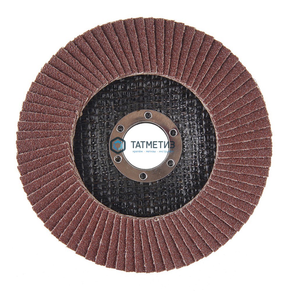 Круг лепестковый торцевой абразивный "Луга" для шлифования, 125 х 22 мм, зерно P36 -  магазин «ТАТМЕТИЗ»